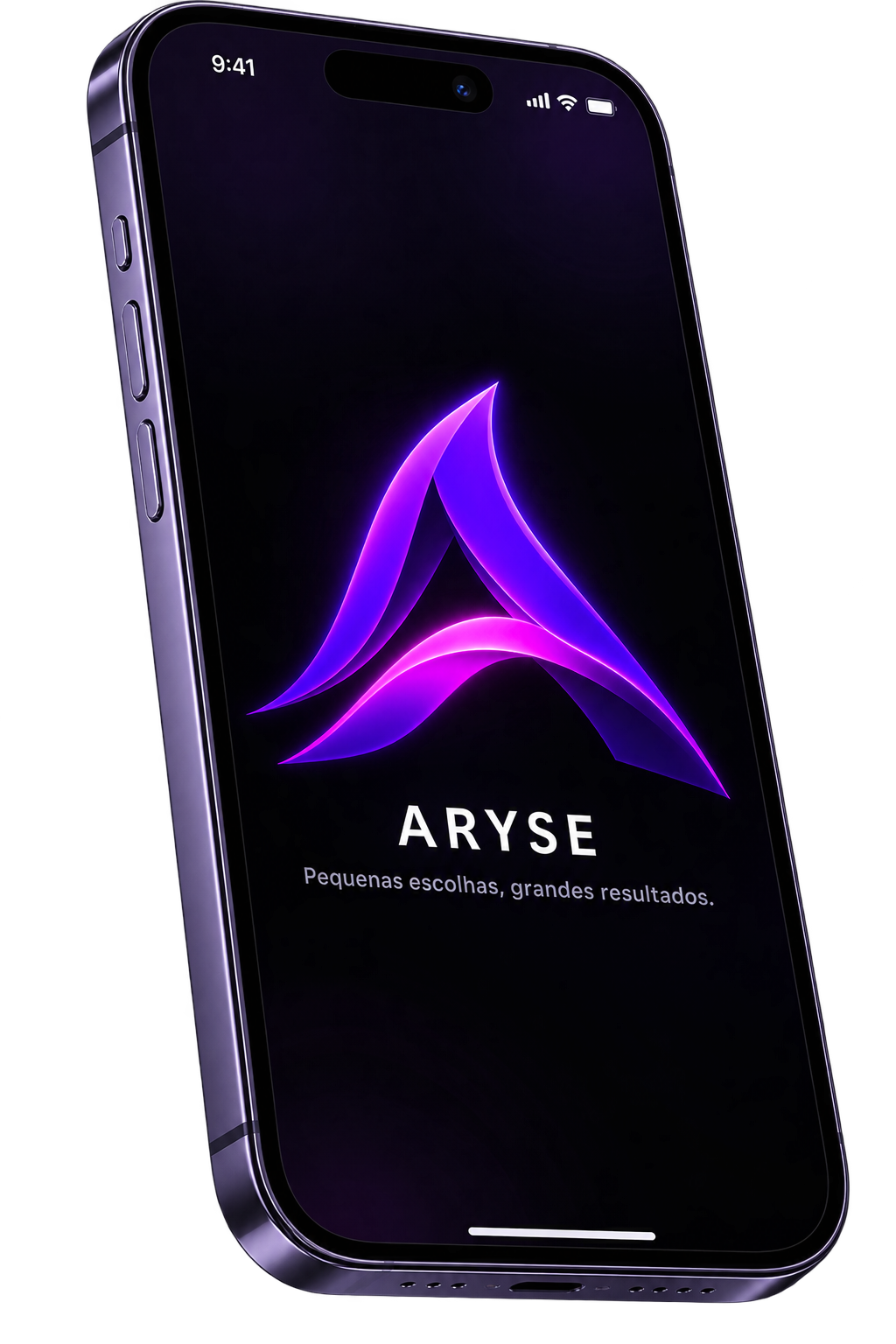 Aplicativo Aryse mostrando resumo do dia, refeições e progresso